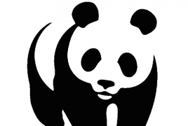 Большая панда останется эмблемой WWF