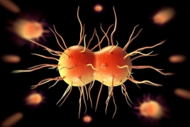 Gonorrhea becoming resistant to all antibiotics