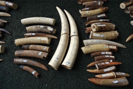 Two tonnes of ivory seized in Vietnam