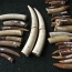Two tonnes of ivory seized in Vietnam