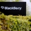 BlackBerry signs deal to help Ford build software for self-driving cars