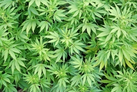 В Калифорнии легализовали марихуану, в Небраске вернули смертную казнь