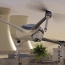 World’s first-ever explosive detection drone unveiled in Israel