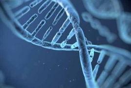 Разработанные учеными ДНК-нанопроводники могут быть полезны в создании генетического компьютера
