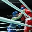 Представляющие РФ боксеры Сергей Маргарян и Владимир Узунян стали вице-чемпионами мира