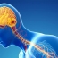 Breakthrough study links Parkinson’s disease to gut bacteria