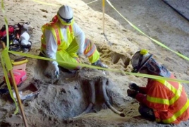 В метро Лос-Анджелеса нашли останки мастодонтов возрастом 10 тысяч лет