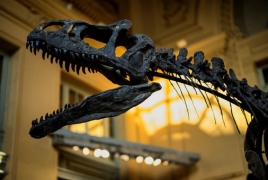 Dinosaur skeleton auctioned for over €1 million in France