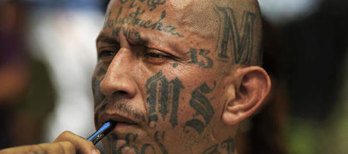 World's most dangerous gangs. Mara Salvatrucha 