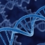 Scientists design more effective version of CRISPR for gene editing