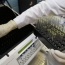 Russia officials admit sports doping, say not state-sponsored - media