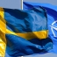Министр обороны Швеции: Мы не намерены вступать в НАТО