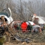 МЧС Киргизии уточнило число погибших в авиакатастрофе под Бишкеком