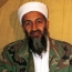 Bin Laden worried about IS tactics, 