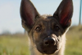 Controversial “A Dog’s Purpose” tops movie social media buzz