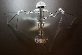 Bat Bot: Scientists build robot that flies just like a bat