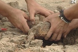 В Китае найдены кости живших 3 тысячи лет назад крокодилов