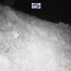 Ֆոտոխցիկը  Զանգեզուրում առաջին անգամ  Կովկասյան ընձառյուծի ձագ է  ֆիքսել