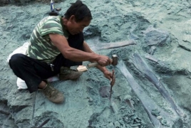 В Китае нашли останки беременного родственника динозавра