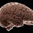 Հետազոտություն. Մարդու ուղեղը միշտ հիմնականից բացի խնդրի լուծման նաև երկրորդ պլան ունի