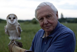 David Attenborough to narrate BBC’s “Blue Planet II”