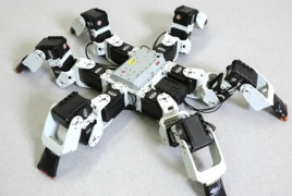 Швейцарские ученые сконструировали шестиногих роботов, способных бегать быстрее насекомых