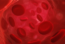 Scientists rejuvenate blood by 