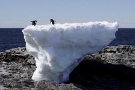 WMO. Անտարկտիկայում ջերմաստիճանը հասել է ռեկորդային 17.5 աստիճանի ըստ Ցելսիուսի