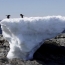 WMO: Температура в Антарктике поднялась до рекордных 17.5 градусов Цельсия