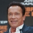 Arnold Schwarzenegger “mulls running for Senate”