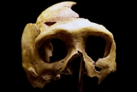 400,000 year-old half-skull points to ancestor of Neanderthals