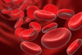 Биологи поставили на поток выращивание клеток крови