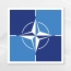 NATO says trans-atlantic bond 