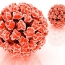 Black adults most at HPV risk