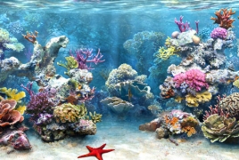 Great Barrier Reef has 