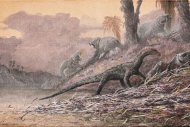 Dinosaur ancestors looked like crocodiles: study