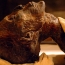 17 mummies discovered in Egypt catacombs