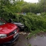 Several killed as severe thunderstorm hits Moscow