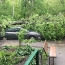 Более 150  человек пострадали из-за мощного урагана в Москве