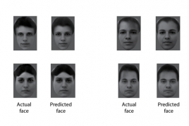 Scientists now know how your brain differentiates faces