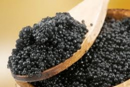 Karabakh to produce 15-20 tons of black caviar annually: PM