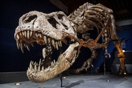 T. rex had scales, not feathers: study