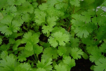 Смотреть исходное изображение