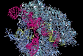 Atomic “photos” help make gene editing safer