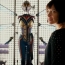 D23 poster gives first look at Wasp in 'Ant-Man' sequel