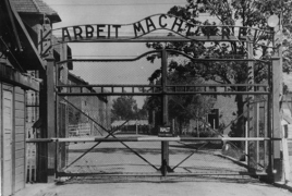 Музей Освенцима впервые отправится в тур по Европе и США