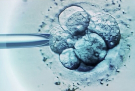 First human embryos genetically modified in U.S.