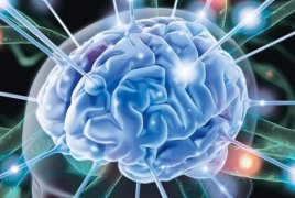 Ученые обнаружили в мозге управляющие старением клетки