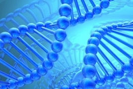 Американские ученые отредактировали геном человеческих эмбрионов