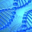 Американские ученые отредактировали геном человеческих эмбрионов